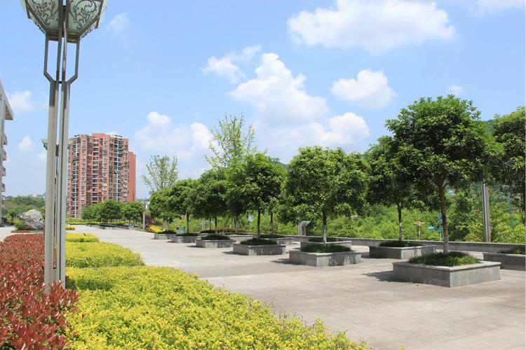 文理学院.gif