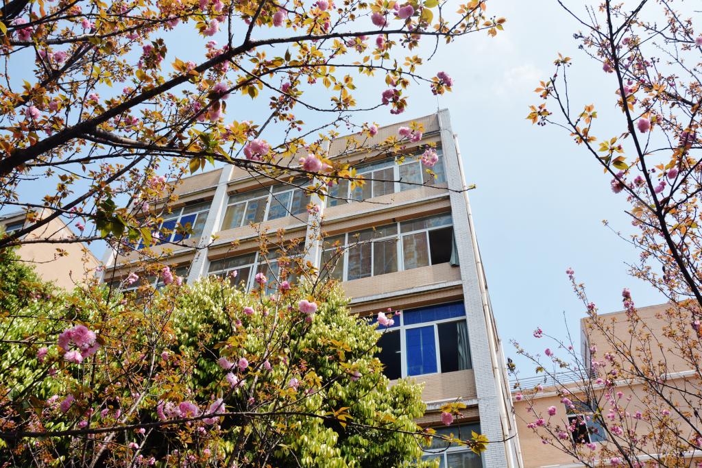 宜宾职业技术学院1.jpg