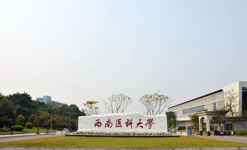 西南医科大学